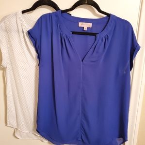 Philosophy Blouse Bundle